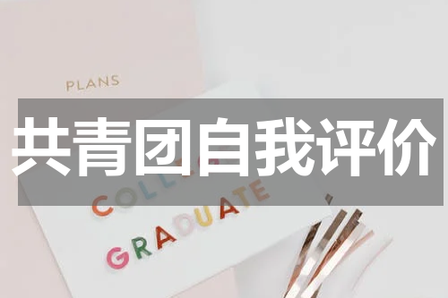 共青团自我评价
