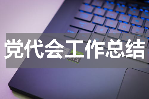 党代会工作总结