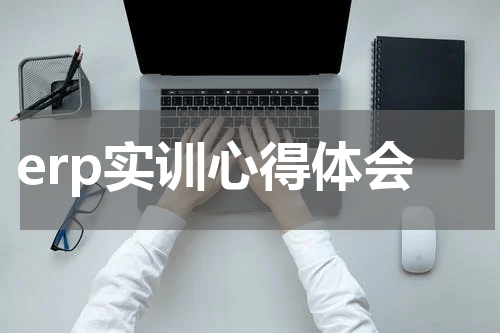 erp实训心得体会