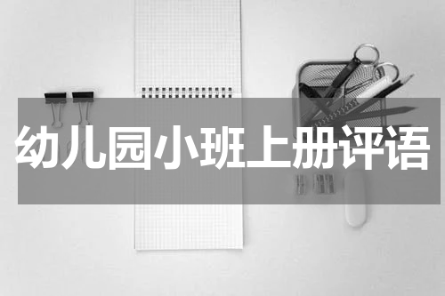 幼儿园小班上册评语