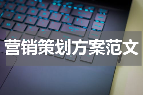 营销策划方案范文