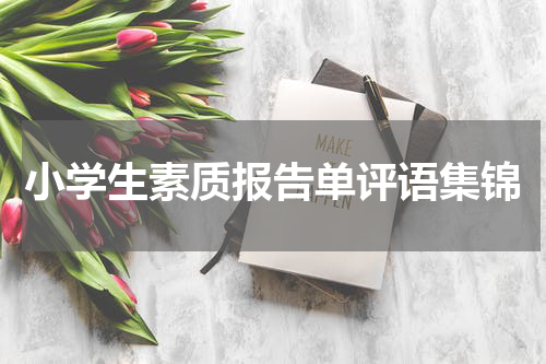 小学生素质报告单评语集锦
