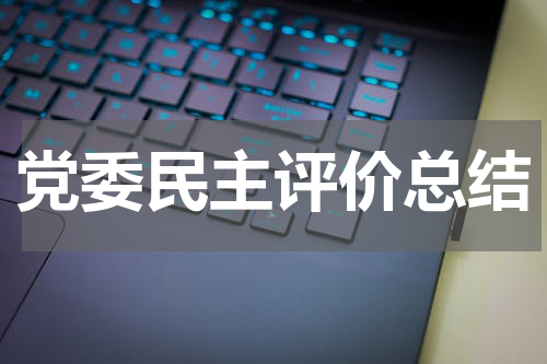 党委民主评价总结