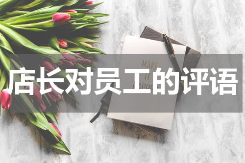店长对员工的评语