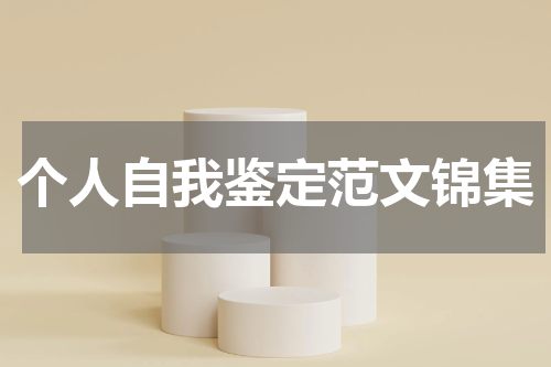 个人自我鉴定范文锦集