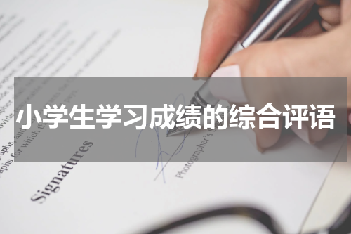 小学生学习成绩的综合评语