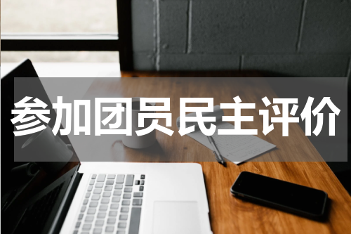 参加团员民主评价