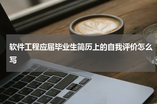 软件工程应届毕业生简历上的自我评价怎么写