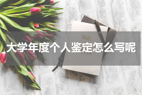 大学年度个人鉴定怎么写呢