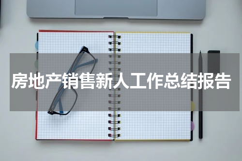 房地产销售新人工作总结报告