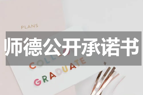 师德公开承诺书