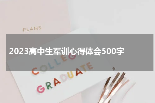 2023高中生军训心得体会500字
