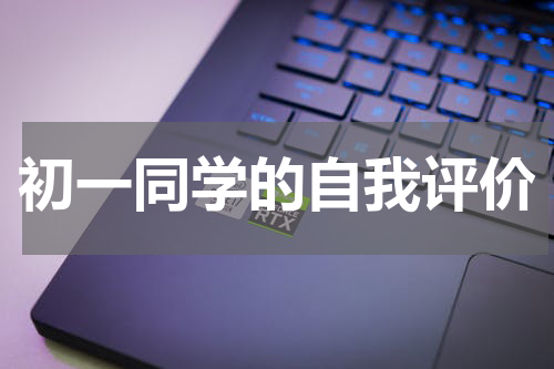 初一同学的自我评价