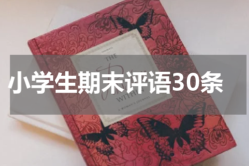 小学生期末评语30条