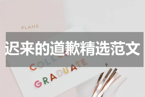 迟来的道歉精选范文