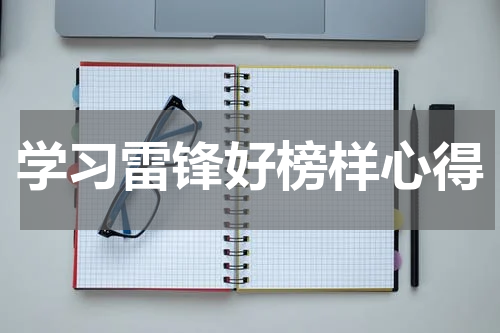 学习雷锋好榜样心得