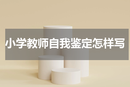 小学教师自我鉴定怎样写