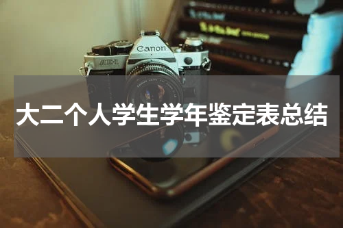 大二个人学生学年鉴定表总结