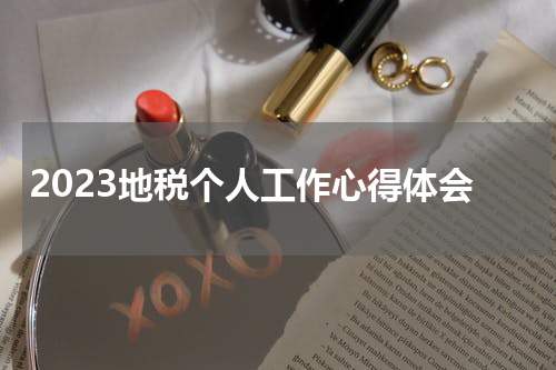 2023地税个人工作心得体会