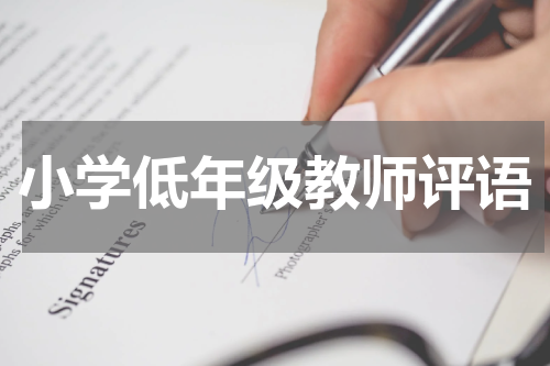小学低年级教师评语