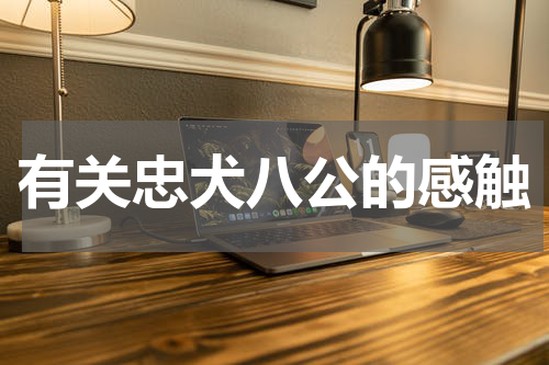 有关忠犬八公的感触