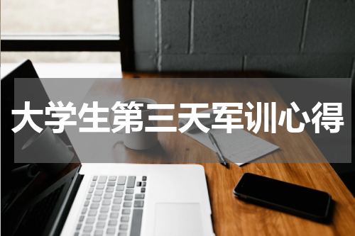 大学生第三天军训心得