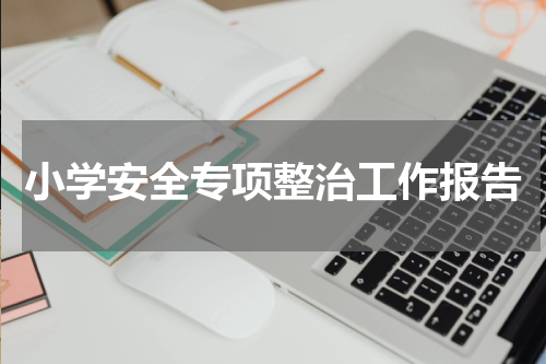 小学安全专项整治工作报告