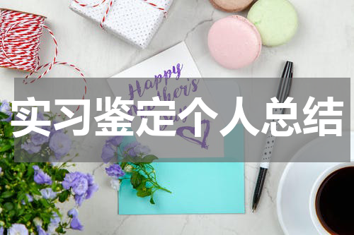实习鉴定个人总结