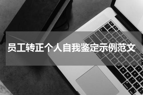 员工转正个人自我鉴定示例范文