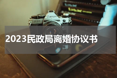 2023民政局离婚协议书
