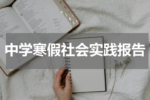 中学寒假社会实践报告