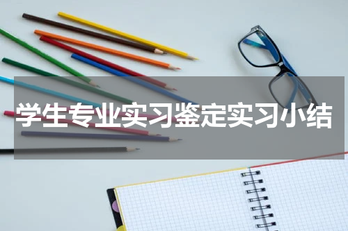 学生专业实习鉴定实习小结