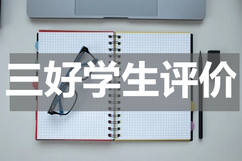 三好学生评价