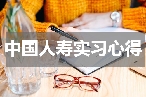 中国人寿实习心得