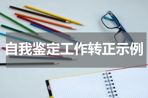 自我鉴定工作转正示例