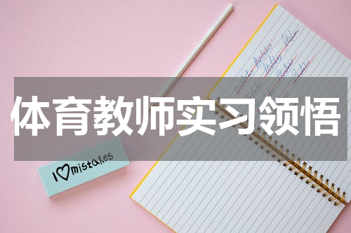 体育教师实习领悟