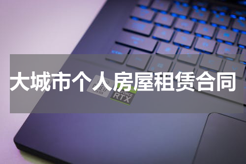 大城市个人房屋租赁合同