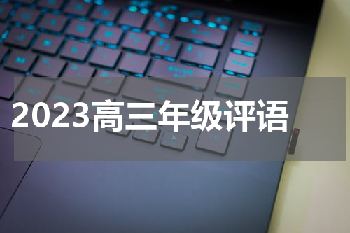 2023高三年级评语