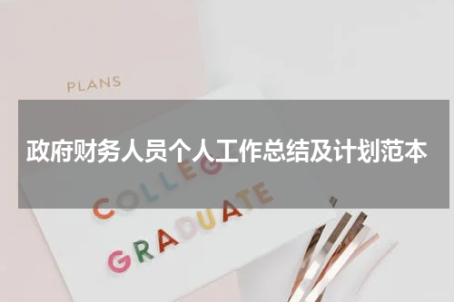 政府财务人员个人工作总结及计划范本