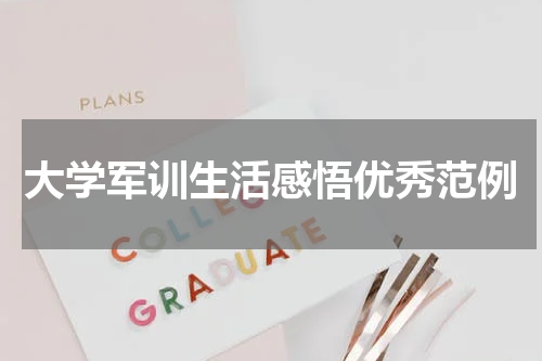 大学军训生活感悟优秀范例