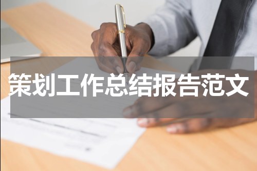 策划工作总结报告范文