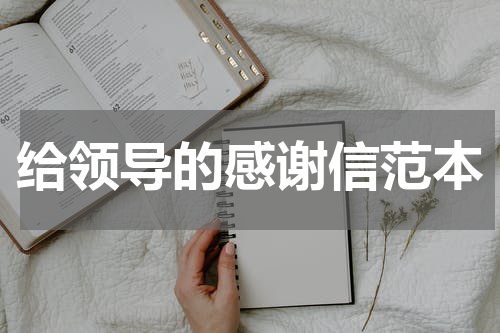 给领导的感谢信范本