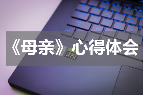 《母亲》心得体会