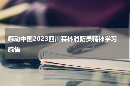 感动中国2023四川森林消防员精神学习感悟