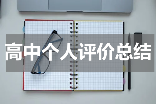高中个人评价总结