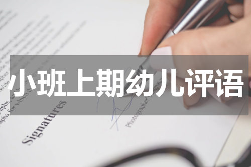 小班上期幼儿评语
