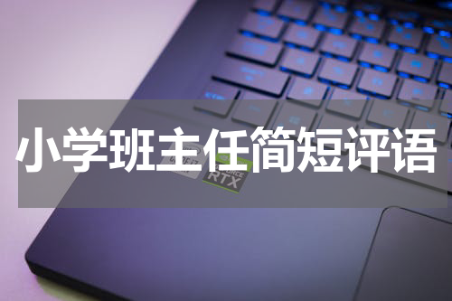 小学班主任简短评语