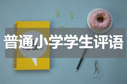 普通小学学生评语