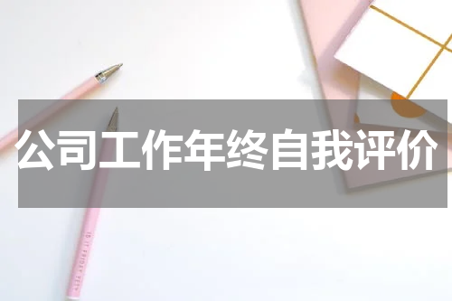 公司工作年终自我评价