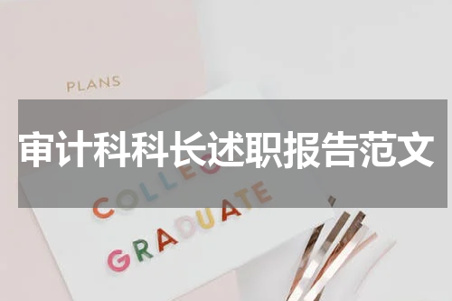审计科科长述职报告范文